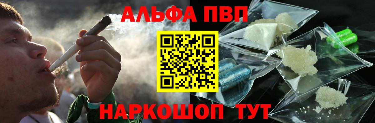 A PVP СК Зеленогорск
