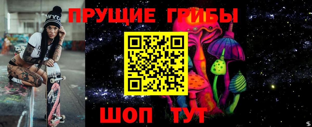 магазин продажи наркотиков  Псилоцибиновые грибы MAGIC MUSHROOMS  Зеленогорск  Вход с VPN  Галлюциногенные грибы Psilocybine cubensis 