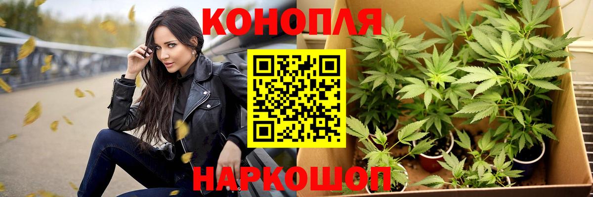 Марихуана конопля Зеленогорск